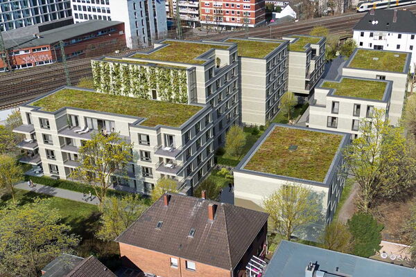 Rendering der Mehrfamilienhaussiedlung aus der Vogelperspektive mit begrünten Dächern.